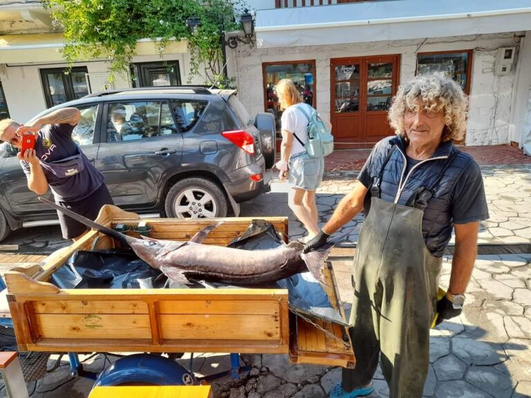 Ξιφίας στη Βασιλική!!!