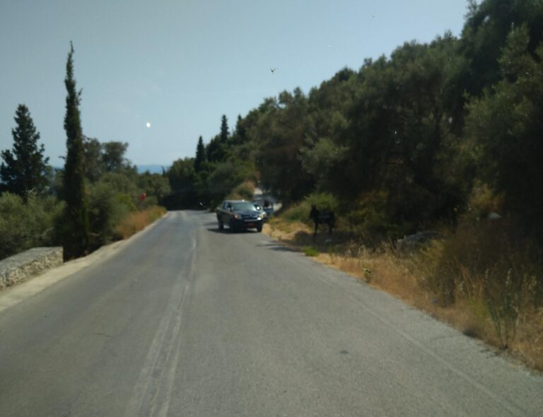 Επιχείρηση διάσωσης τουρίστριας στη Βασιλική