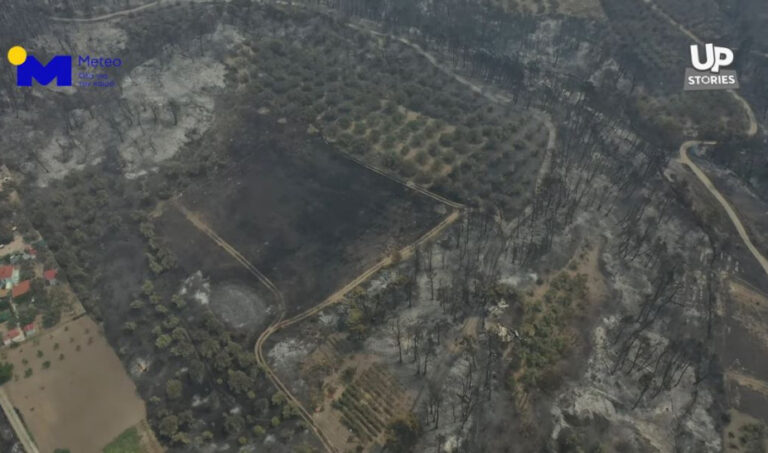 Φωτιά στην Εύβοια: Η βιβλική καταστροφή απο ψηλά – Στάχτη και αποκαϊδια (vid)