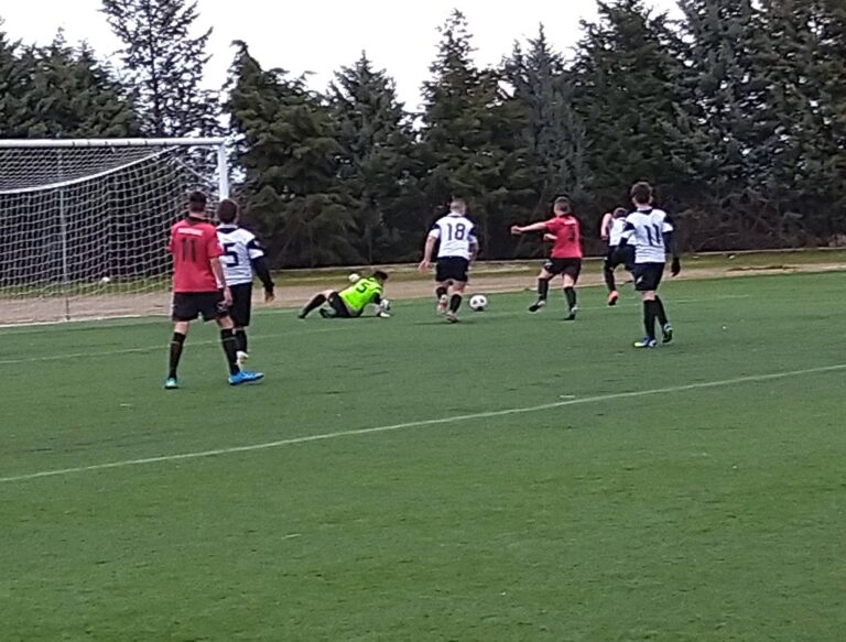 Πανλευκάδιος- Ένωση Ζαλόγγου 4-1