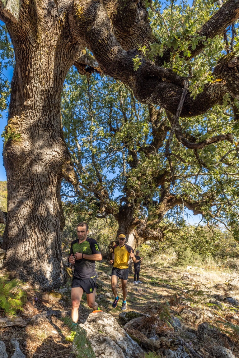 LEFKAS TRAIL RUN 2022: Μεταγωνιστικό Δελτίο Τύπου