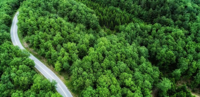 Σταύρος Γρηγόρης :”ΑΡΤΙΟΤΗΤΑ ΚΑΤΑ ΠΑΡΕΚΚΛΙΣΗ ΟΙΚΟΠΕΔΩΝ& ΔΑΣΙΚΟΙ ΧΑΡΤΕΣ ” Οι νόμοι που καταστρέφουν τις περιουσίες των Λευκαδίων.