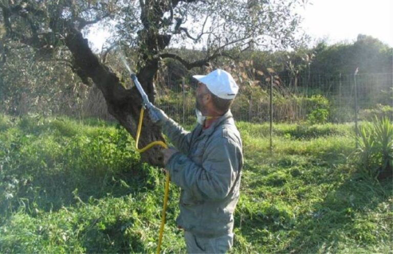 ΑΝΑΚΟΙΝΩΣΗ ΠΡΟΣΛΗΨΗΣ ΕΡΓΑΤΟΤΕΧΝΙΚΟΥ ΠΡΟΣΩΠΙΚΟΥ ΔΑΚΟΚΤΟΝΙΑΣ ΕΤΟΥΣ 2023￼