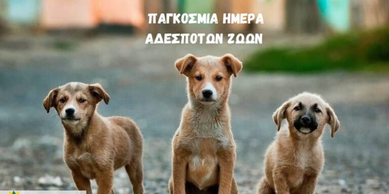 4 ΑΠΡΙΛΙΟΥ ΠΑΓΚΟΣΜΙΑ ΗΜΕΡΑ ΑΔΕΣΠΟΤΩΝ