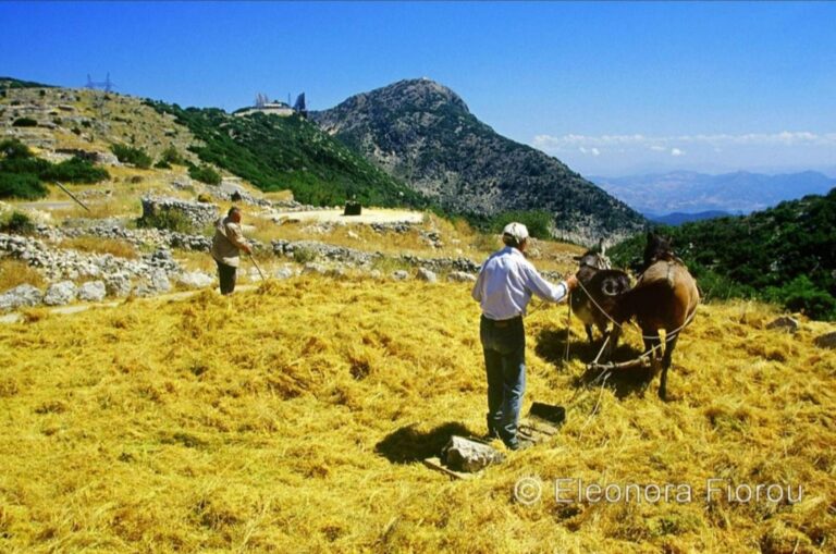 Ο ΜΕΛΑΝΥΔΡΟΣ φιλοξενεί την Κυριακή, 2 Νοέμβρη και ώρα 18:00 στο Νιοχώρι την Ελεονώρα Φιώρου και σας προσκαλεί στην προβολή του βραβευμένου ντοκιμαντέρ της με τίτλο: