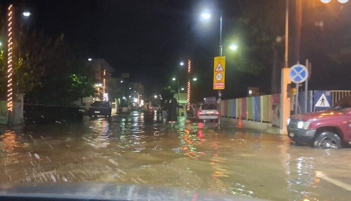 vonitsa-plimmyres6-1024x589